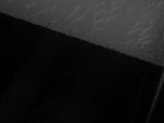 ورق های پلی استایرن