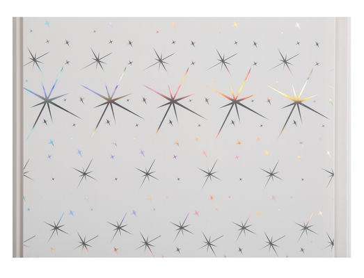 پانل های ضد آب ضد آب برای حمام 25cm 30cm Width